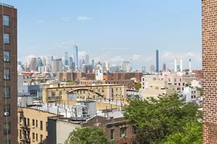 209 Clinton Ave, New York City, NY 11205 - Photo 12