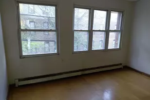 1338 Park Pl, Brooklyn, NY 11213 - Photo 20