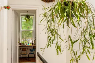 101 Chauncey St, New York City, NY 11233 - Photo 10