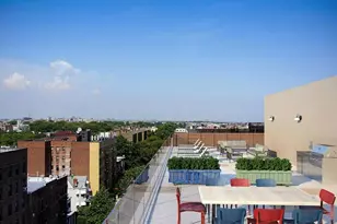 264 Webster Ave, New York City, NY 11230 - Photo 16