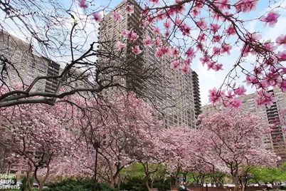 205 W End Avenue #10B, New York, NY 10023 - Photo 18