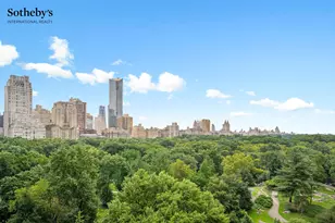 110 Central Park S, New York City, NY 10019 - Photo 22