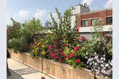 81 Warren Street #3, Brooklyn, NY 11201 - Photo 16
