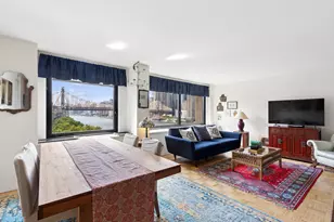 531 Main St, New York City, NY 10044 - Photo 1