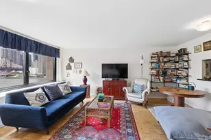 531 Main St, New York City, NY 10044 - Photo 2