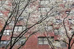 11 E 87th St, New York City, NY 10128 - Photo 12