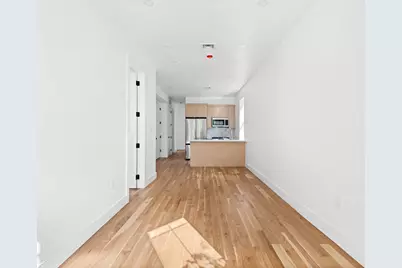 259 E 28th Street #2, Brooklyn, NY 11226 - Photo 10