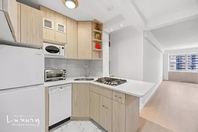 333 E 46th Street #17E, New York City, NY 10017 - Photo 14