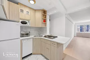 333 E 46th St, New York City, NY 10017 - Photo 14
