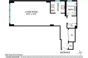 520 E 81st St, New York City, NY 10028 - Photo 12