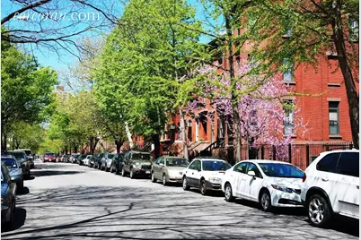178 St James Place #1, New York City, NY 11238 - Photo 10