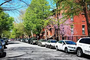 178 St James Pl, New York City, NY 11238 - Photo 10
