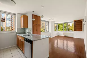 425 Main St, New York, NY 10044 - Photo 1