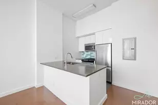 80 Dekalb Ave, Brooklyn, NY 11201 - Photo 4