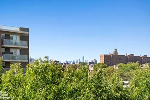 12421 Flatlands Ave, Brooklyn, NY 11207 - Photo 4