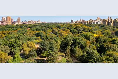 110 Central Park S #18A, New York City, NY 10019 - Photo 22