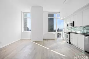 80 Dekalb Ave, Brooklyn, NY 11201 - Photo 4