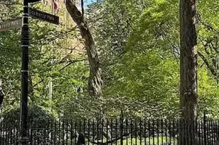 116 E 19th St, New York, NY 10003 - Photo 8