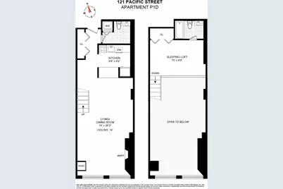 121 Pacific Street #P1D, New York City, NY 11201 - Photo 16