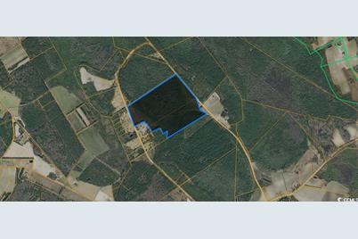 Tbd Fifteen Mile Bay Rd., Nichols, SC 29581 - Photo 1