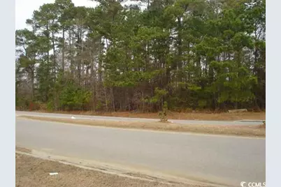 Parcel "A" Palmetto Pointe Blvd., Myrtle Beach, SC 29588 - Photo 4