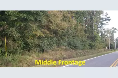 S Bucksport Rd., Conway, SC 29527 - Photo 2