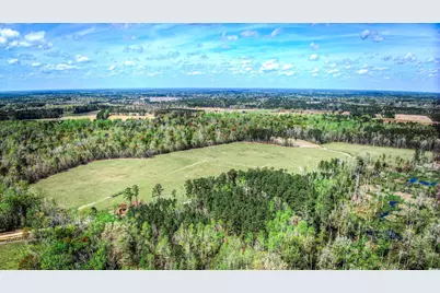 Tbd Roleighn Rd., Conway, SC 29526 - Photo 8