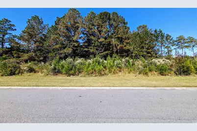 3028 New Castle Loop, Myrtle Beach, SC 29588 - Photo 2