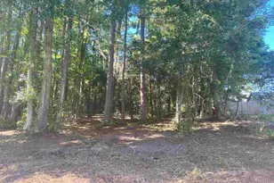 Lot 7 Luck Ave, Little River, SC 29566 - Photo 1