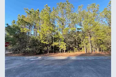 153 Bridge View Rd., Georgetown, SC 29440 - Photo 1