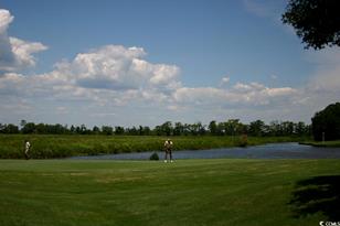 35 Delray Dr, Murrells Inlet, SC 29576 - Photo 40