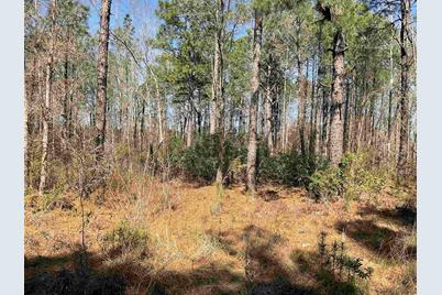 Tbd Florence Ln., Kingstree, SC 29556 - Photo 2