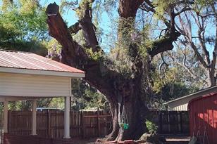 26 Gladding St, Georgetown, SC 29440 - Photo 6