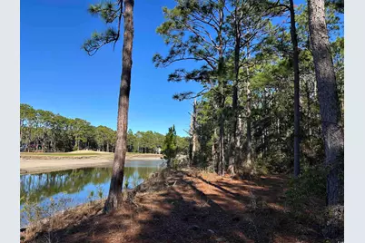 8000 Ocean Highway, Pawleys Island, SC 29585 - Photo 4