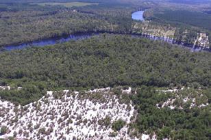 Tbd Francis Marion Dr, Georgetown, SC 29440 - Photo 1