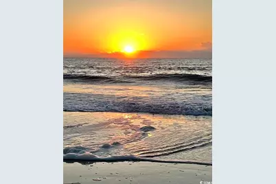 110 Hallandale Lane, Murrells Inlet, SC 29576 - Photo 30