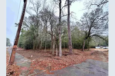 Tbd N Main St., Nichols, SC 29581 - Photo 2