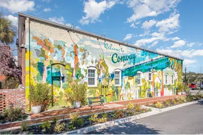 318 Barn Owl Way, Conway, SC 29527 - Photo 24