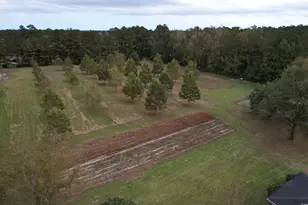 4575 Saints Delight Rd, Georgetown, SC 29440 - Photo 22