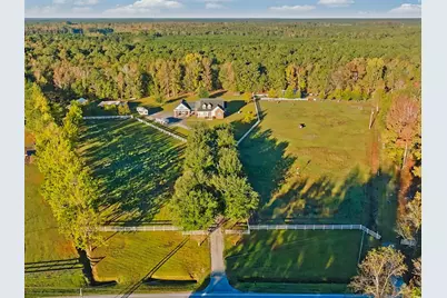 1555 Big Swamp Rd., Pamplico, SC 29583 - Photo 4