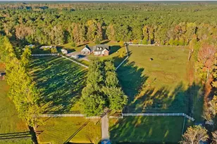 1555 Big Swamp Rd, Pamplico, SC 29583 - Photo 4