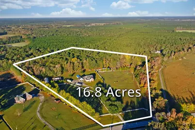 1555 Big Swamp Rd., Pamplico, SC 29583 - Photo 2