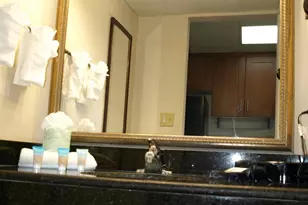 1200 N Ocean Blvd, Myrtle Beach, SC 29577 - Photo 6