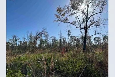 18+/- Acres Tbd Epps Rd., New Zion, SC 29111 - Photo 1