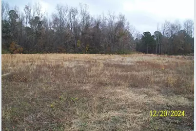 4018 Buffkin Rd., Green Sea, SC 29545 - Photo 1