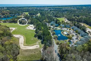 598 Blue Stem Dr, Pawleys Island, SC 29585 - Photo 64