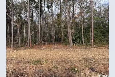 19.09 Acs Kates Bay Hwy., Conway, SC 29527 - Photo 20