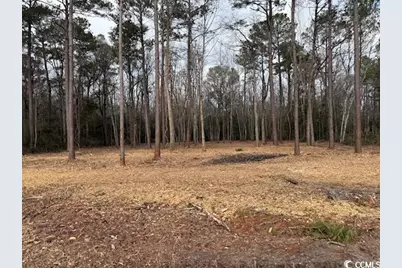 6.97 Acs Kates Bay Hwy., Conway, SC 29527 - Photo 18