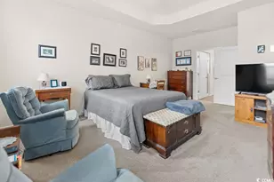 1262 Witch Hazel Wy, Longs, SC 29568 - Photo 16