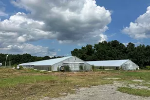 100 Lulu Ln, Bennettsville, SC 29512 - Photo 30